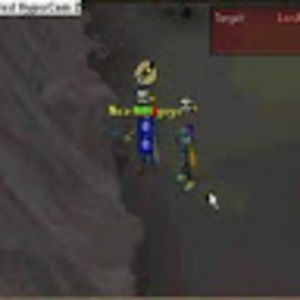 Meet your Posher, Donald